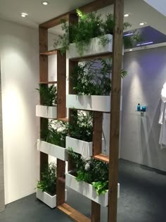 an indoor planter with many plants growing on it's sides and hanging from the ceiling