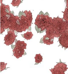 a bunch of red roses on a white background