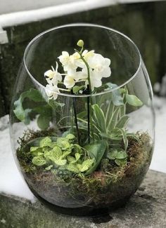 a glass vase filled with white flowers and greenery