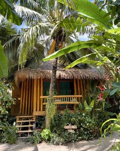 a small wooden cabin surrounded by palm trees