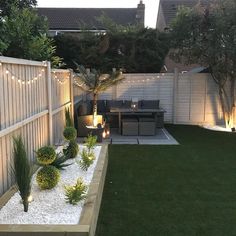 a backyard with lights and plants in it