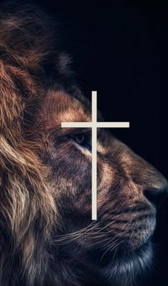 a lion with a cross on it's face