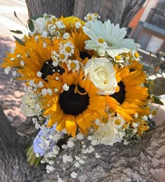 a bouquet of sunflowers and daisies on a tree