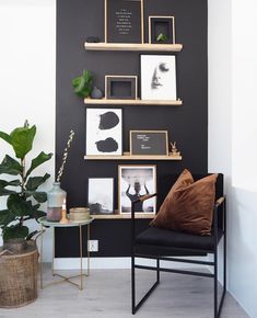 a room with black walls and pictures on the wall next to a chair in front of a potted plant