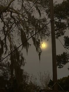 the full moon is shining brightly in the night sky over some trees and power lines