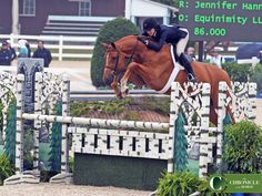 a person jumping a horse over an obstacle