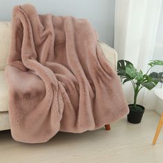 a couch with a blanket on it next to a potted plant