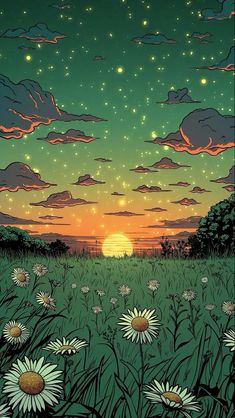 the sun is setting over a field full of daisies