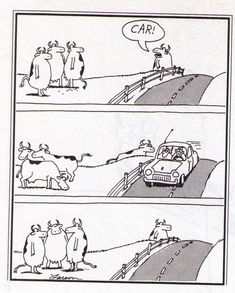 the comic strip shows an image of two cows and a car