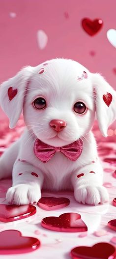 a white puppy wearing a pink bow tie sitting on top of red heart shaped confetti