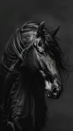 a black and white photo of a horse with its head turned to the side, in front of a dark background