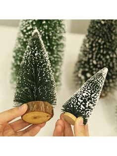 two small pine trees are being held by someone's hands with white snow on them