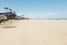 a sandy beach with palm trees and houses in the background