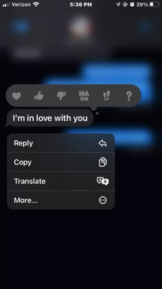 the text message is being displayed on an iphone's screen, and it appears to be in conversation with someone else