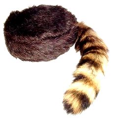 PRICES MAY VARY. Small fits youth or adult Head up to 25" Medium fits youth or adult Head up to 26" Large fits youth or adult Head up to 27" X Large fits youth or adult Head up to 28" You are buying: Davy Crockett or Daniel Boon Style Coon Skin Hat with Real TailThe cap is made of imported faux fur but looks like real fur Tail is 7 to 12" long Davy Crocket, Davy Crockett, Toro Inoue, Daniel Boone, Moonrise Kingdom, The Lone Ranger, Davos, Cat Tail, The Medium