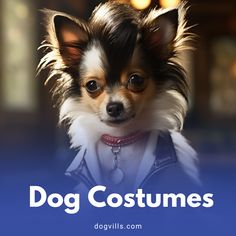 a small dog wearing a collar with the words dog costumes on it's chest