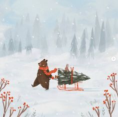 a bear pulling a christmas tree on a sled in the snow with another bear nearby