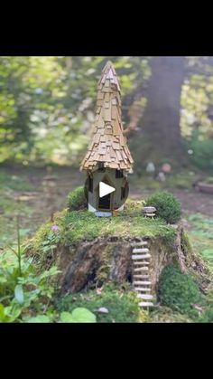 a small house made out of moss in the woods