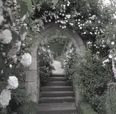 an arch covered in white flowers next to some bushes and stairs with steps leading up to it