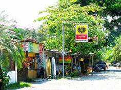 a street with shops and surfboards on the side of it in front of trees