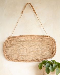 a basket hanging on the wall next to a potted plant and a vase with green plants in it