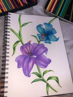 a drawing of two purple flowers with green stems on a sheet of paper next to colored pencils