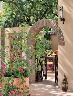 an outdoor patio with flowers and potted plants