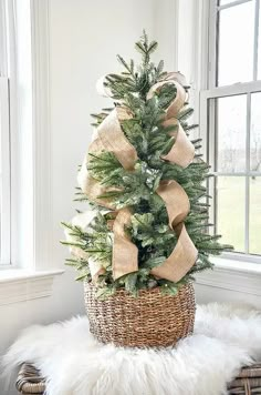 a christmas tree in a wicker basket with burlap bows on the top