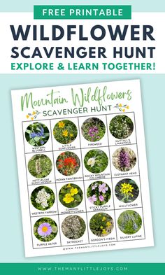 the free printable wildflower scavenger hunt is an easy way to help kids learn