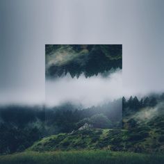 two pictures with trees in the background and fog on the ground, one is overcast