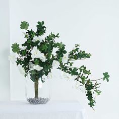 a vase filled with white flowers sitting on top of a table next to a plant