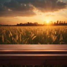 a wooden bench sitting in front of a lush green field with the sun setting behind it