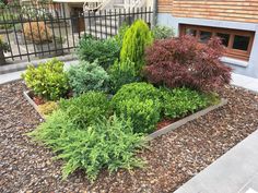 an assortment of plants and shrubs in front of a house