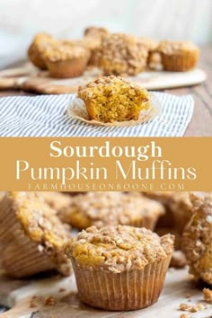 pumpkin muffins on a wooden table with the title text overlay reads sourdough pumpkin muffins