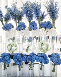 an instagram photo with blue flowers in vases