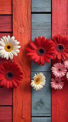 red, white and yellow flowers are placed in front of a wooden wall