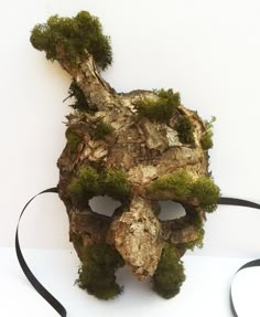 Dryad Costume, Moss Hair, Witch Mask, Lion Witch Wardrobe, Tree Costume, Theme Nature, Nature Spirits, Forest Spirit