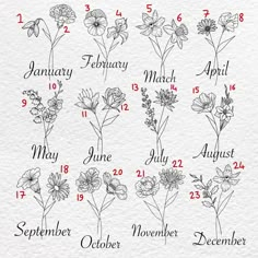 months of the year with flowers drawn on paper