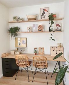 two wicker chairs sitting on top of a wooden desk next to a potted plant