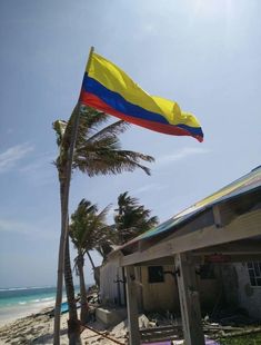 a flag flying on top of a beach next to the ocean with palm trees in the foreground