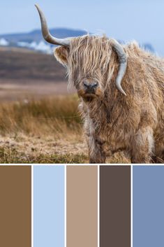 an animal that is standing in the grass with color swatches on it's sides