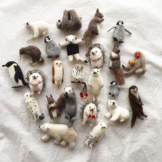 a bunch of stuffed animals are arranged in a circle on a white sheet, with one animal looking at the camera