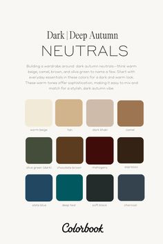 the color guide for dark deep autumn neutrals