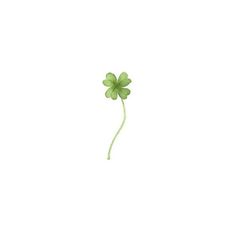 a four leaf clover on a white background