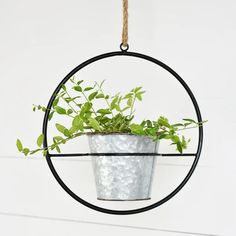 Ring Plant Hanger, The Feathered Farmhouse Iron Ring, Hanging Basket, Cottage Homes, Backyard Garden, Plant Hanger, Farmhouse, Yard, Google Search, Ring