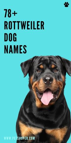 a rotweiler dog with his tongue out and the words rotweiler dog names below it