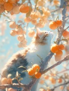 a cat sitting in a tree with oranges on it's branches and looking up at the sky