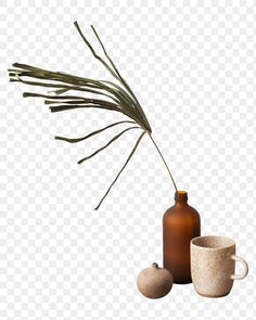 two vases with plants in them sitting next to each other on a transparent background