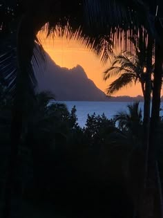 the sun is setting behind some palm trees and mountains in the distance, with an ocean view