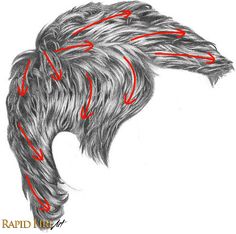 a drawing of a horse's head with red arrows